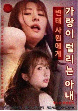 侧边推荐配图，图鉴卡片入口